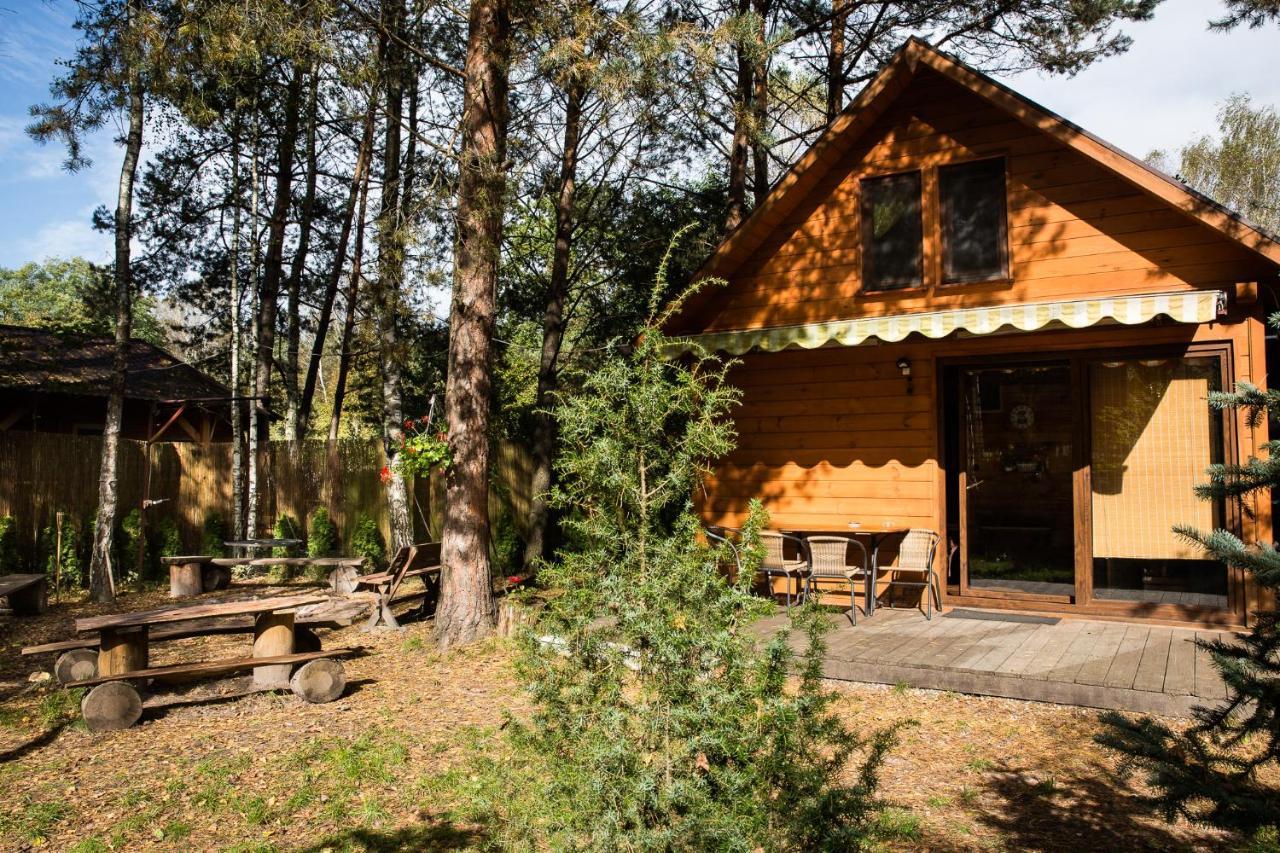 Domek Pod Klonem Zary  Exterior foto